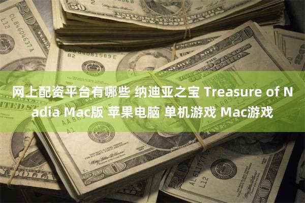 网上配资平台有哪些 纳迪亚之宝 Treasure of Nadia Mac版 苹果电脑 单机游戏 Mac游戏