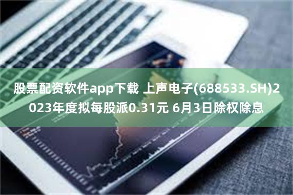 股票配资软件app下载 上声电子(688533.SH)2023年度拟每股派0.31元 6月3日除权除息