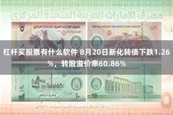 杠杆买股票有什么软件 8月20日新化转债下跌1.26%，转股溢价率60.86%