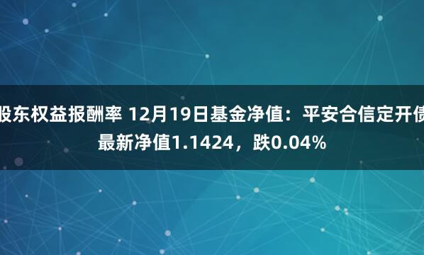 股东权益报酬率 12月19日基金净值：平安合信定开债最新净值