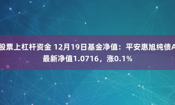 股票上杠杆资金 12月19日基金净值：平安惠旭纯债A最新净值1.0716，涨0.1%