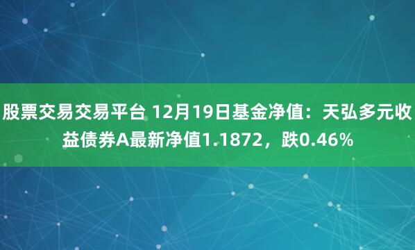 股票交易交易平台 12月19日基金净值：天弘多元收益债券A最新净值1.1872，跌0.46%