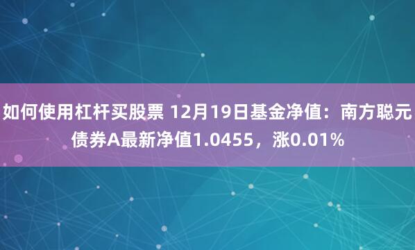 如何使用杠杆买股票 12月19日基金净值：南方聪元债券A最新