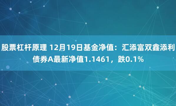 股票杠杆原理 12月19日基金净值：汇添富双鑫添利债券A最新净值1.1461，跌0.1%