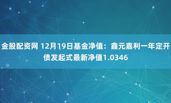 金股配资网 12月19日基金净值：鑫元嘉利一年定开债发起式最新净值1.0346