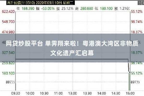 网贷炒股平台 单霁翔来啦！粤港澳大湾区非物质文化遗产汇启幕