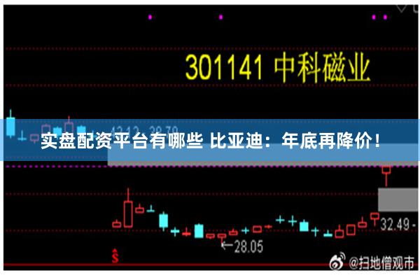 实盘配资平台有哪些 比亚迪：年底再降价！