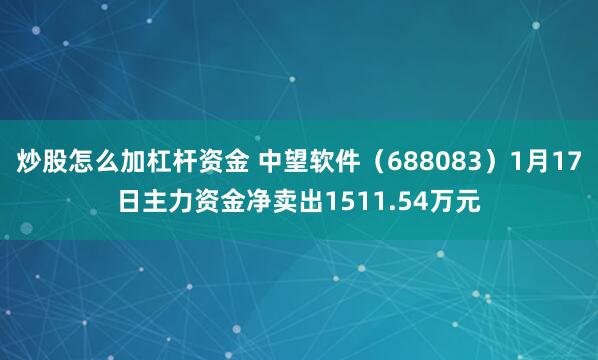 炒股怎么加杠杆资金 中望软件（688083）1月17日主力资金净卖出1511.54万元