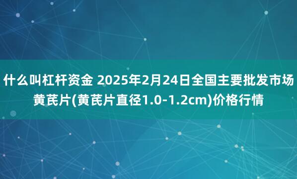 什么叫杠杆资金 2025年2月24日全国主要批发市场黄芪片(黄芪片直径1.0-1.2cm)价格行情