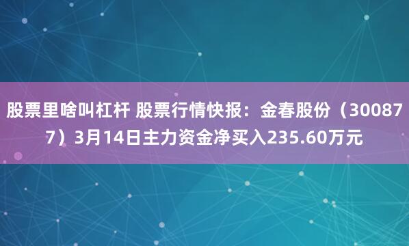 股票里啥叫杠杆 股票行情快报：金春股份（300877）3月14日主力资金净买入235.60万元