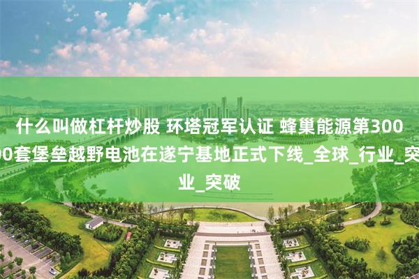什么叫做杠杆炒股 环塔冠军认证 蜂巢能源第300000套堡垒越野电池在遂宁基地正式下线_全球_行业_突破
